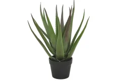 Tekokasvi Moganas Aloevera 50 cm Vihreä