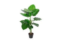 Tekokasvi Pothos K90 cm