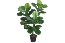 Tekopuu Fiikus K100 cm