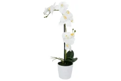 Valkoinen Orkidea 51 cm Valkoisessa Ruukussa