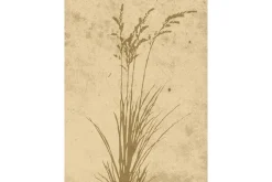 Venture Home Juliste Plant art 30x40 cm Beige
